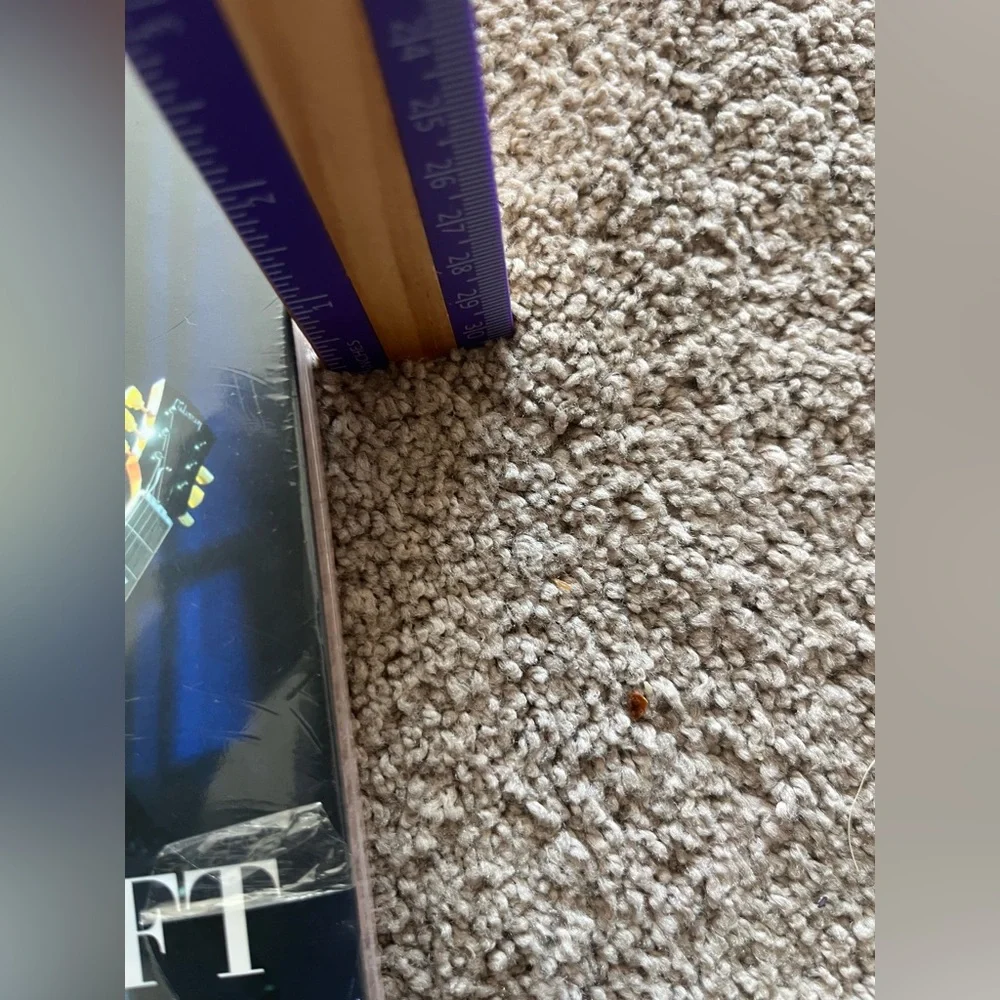 Taylor Swift Purple and Black hardback fashion book